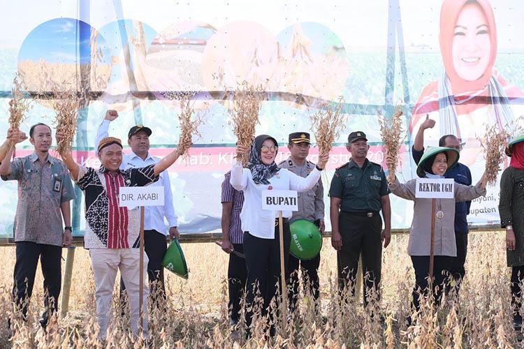 Kementerian Pertanian Targetkan Swasembada Kedelai pada 2026, Begini Langkahnya