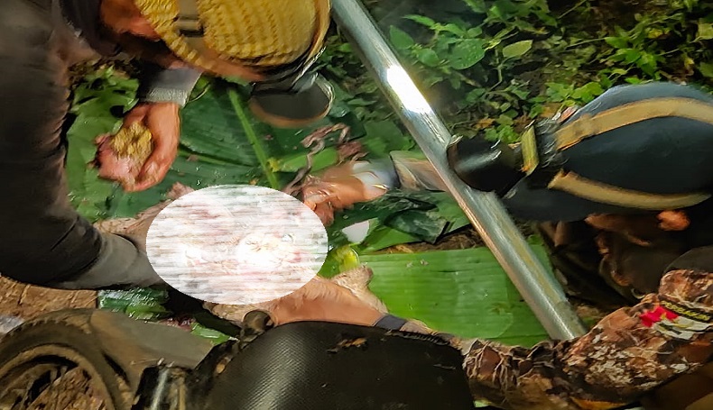 Pemburu Liar Tepergok Sedang Kuliti Landak Jawa di Gunung Sanggabuana Karawang