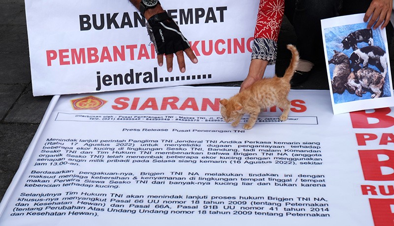 Aktivis Pencinta Hewan Dukung Jenderal Andika Usut Penembakan Kucing oleh Oknum TNI - Bagian 3