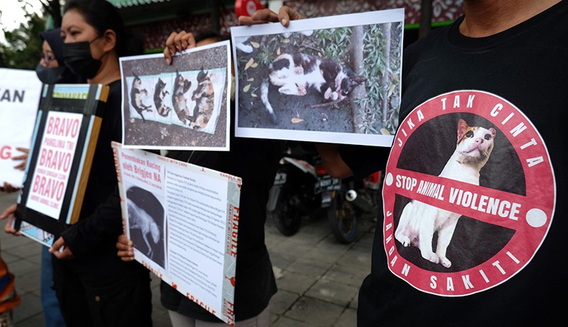 Aktivis Pencinta Hewan Dukung Jenderal Andika Usut Penembakan Kucing oleh Oknum TNI - Bagian 1