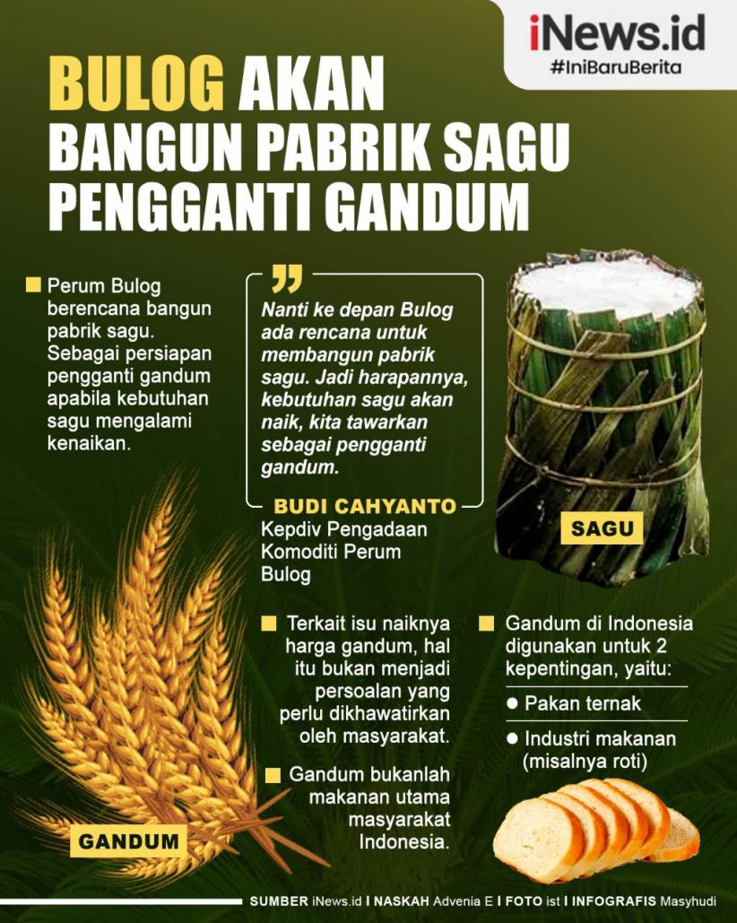 Infografis Bulog Akan Bangun Pabrik Sagu Pengganti Gandum