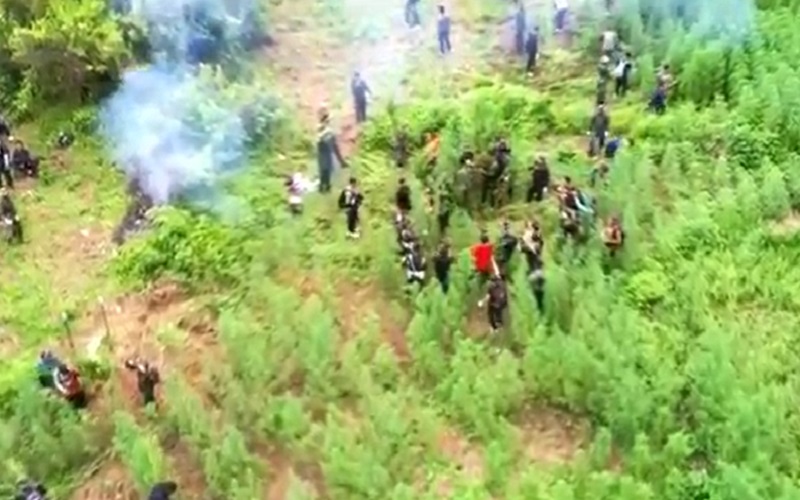 4 Hektare Ladang Ganja Siap Panen Ditemukan di Madina, Lokasi Terkenal Ekstrem