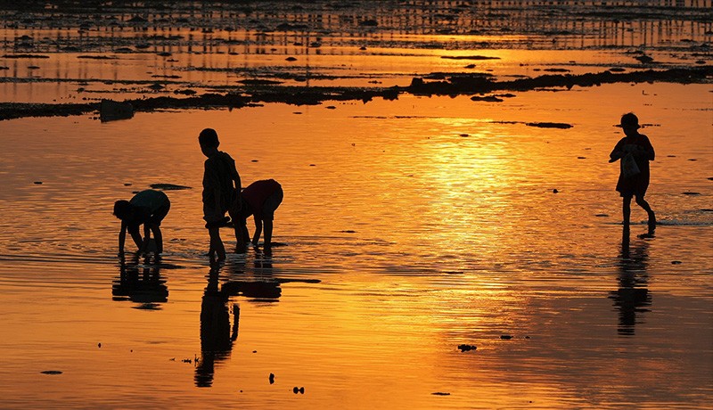 Anak Nelayan Mencari Kerang saat Air Laut Surut - Bagian 2