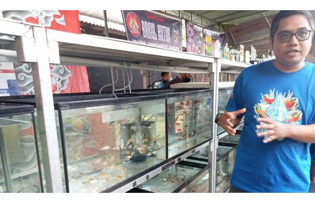 title Yuk ke Kadisoro Bantul, Ada Festival dan Pameran Ikan Hias Tingkat Nasional Lho Yuk ke Kadisoro Bantul, Ada Festival dan Pameran Ikan Hias Tingkat Nasional Lho