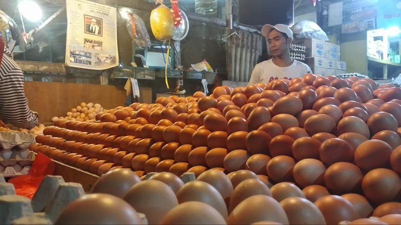 Harga Telur Ayam Meroket dalam Sepekan, Peternak Sebut Tertinggi Sepanjang Sejarah