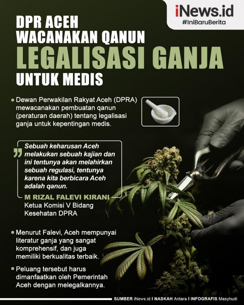 Infografis DPR Aceh Wacanakan Qanun Legalisasi Ganja Untuk Medis