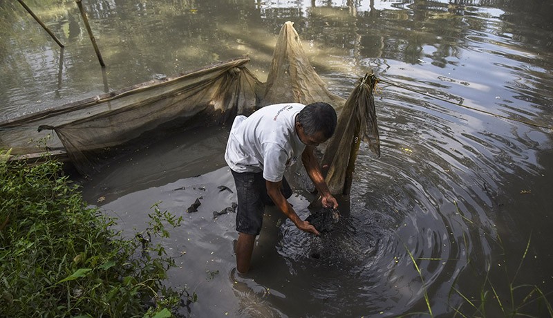Sungai Cikunir Tasikmalaya Tercemar Limbah Pencucian Tambang Pasir - Bagian 2