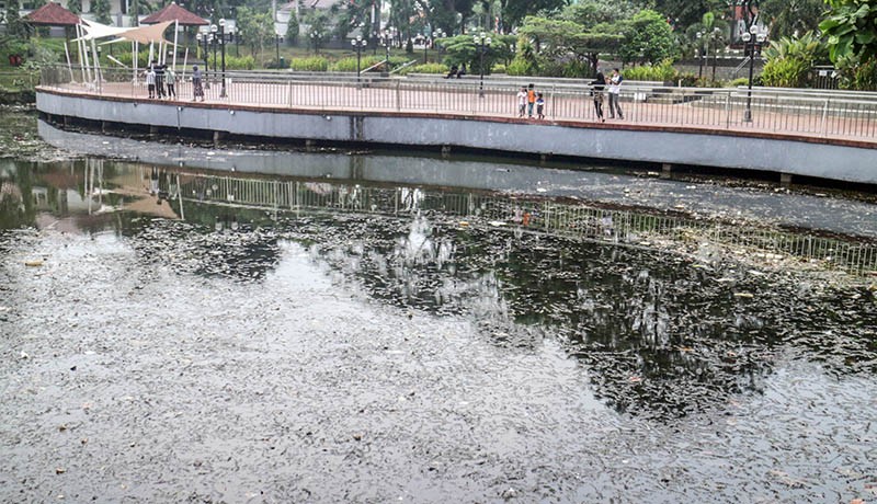 Banyak Sampah dan Tidak Terawat, Situ Cibinong Mengalami Pendangkalan - Bagian 1