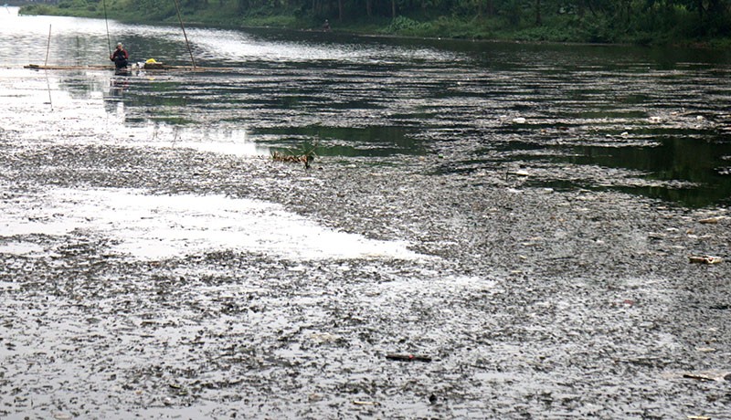 Banyak Sampah dan Tidak Terawat, Situ Cibinong Mengalami Pendangkalan - Bagian 2