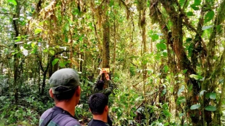 Pemkab Solok Selatan Ingin Buka Jalur Pendakian Baru ke Gunung Kerinci