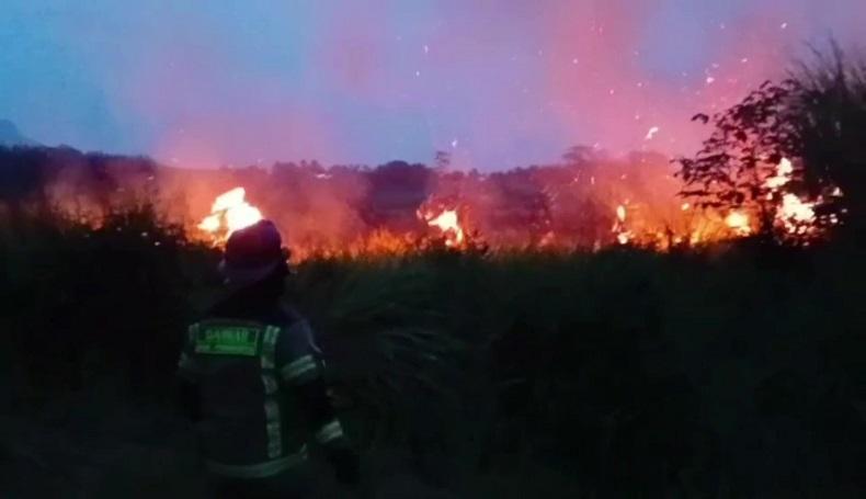 Lahan 5 Ha di Jatiluhur Purwakarta Terbakar Hebat, Api Menjalar ke Segala Arah
