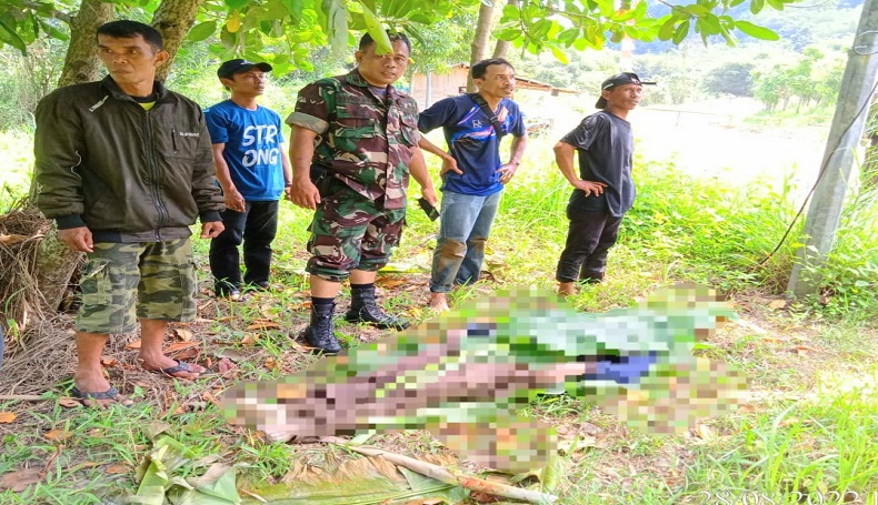 Sukabumi Geger, Satpam Ditemukan Tewas Mengambang di Sungai Cimandiri 