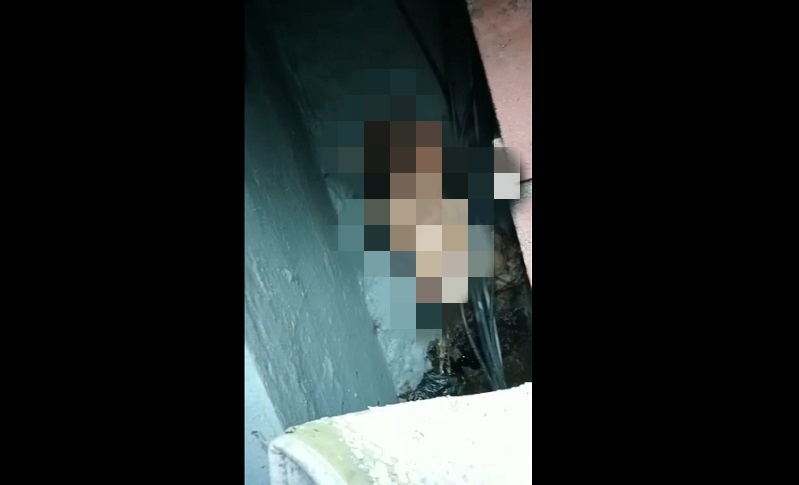 Bayi Baru Lahir Ditemukan Masih Hidup di Saluran Air Atap Rumah Elite Surabaya 