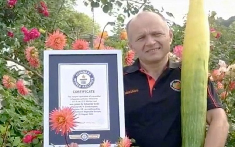 Penampakan Mentimun Terpanjang di Dunia, Pemilik Butuh Waktu 10 Hari untuk Memakannya