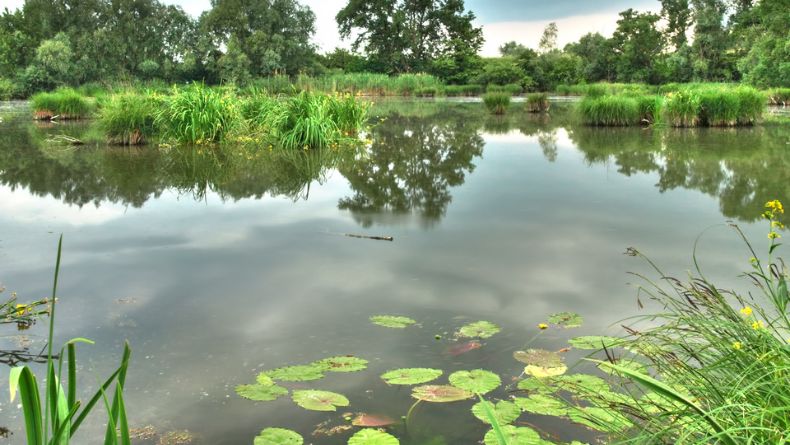 Contoh Cerita Fiksi Singkat Berbagai Tema, Lengkap dengan Unsur-unsurnya