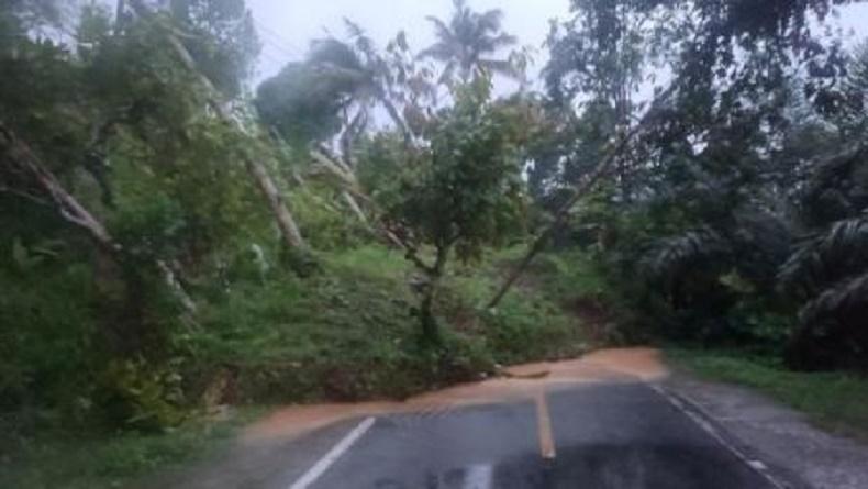 Longsor di Luwu Timur, Akses Jalan Trans Sulawesi Poros Sulsel-Sulteng Sempat Lumpuh
