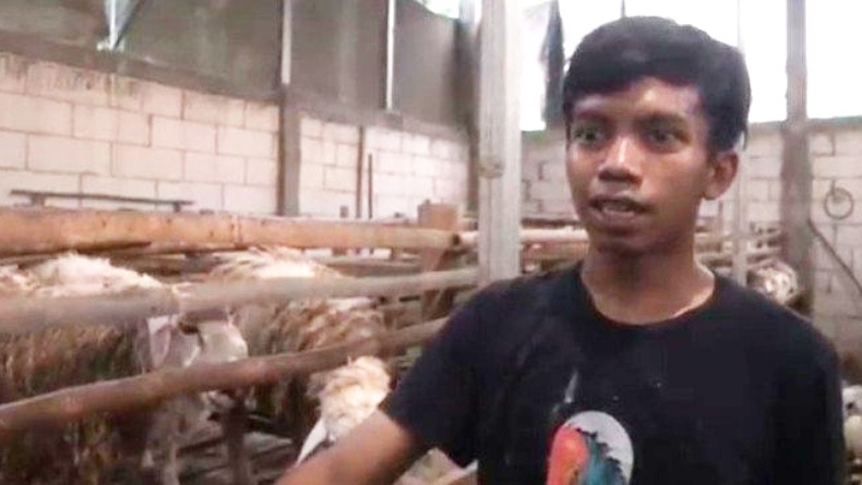 Lulusan SMA Ini Sukses Ternak Domba, Penghasilan Rp100 Juta per Bulan