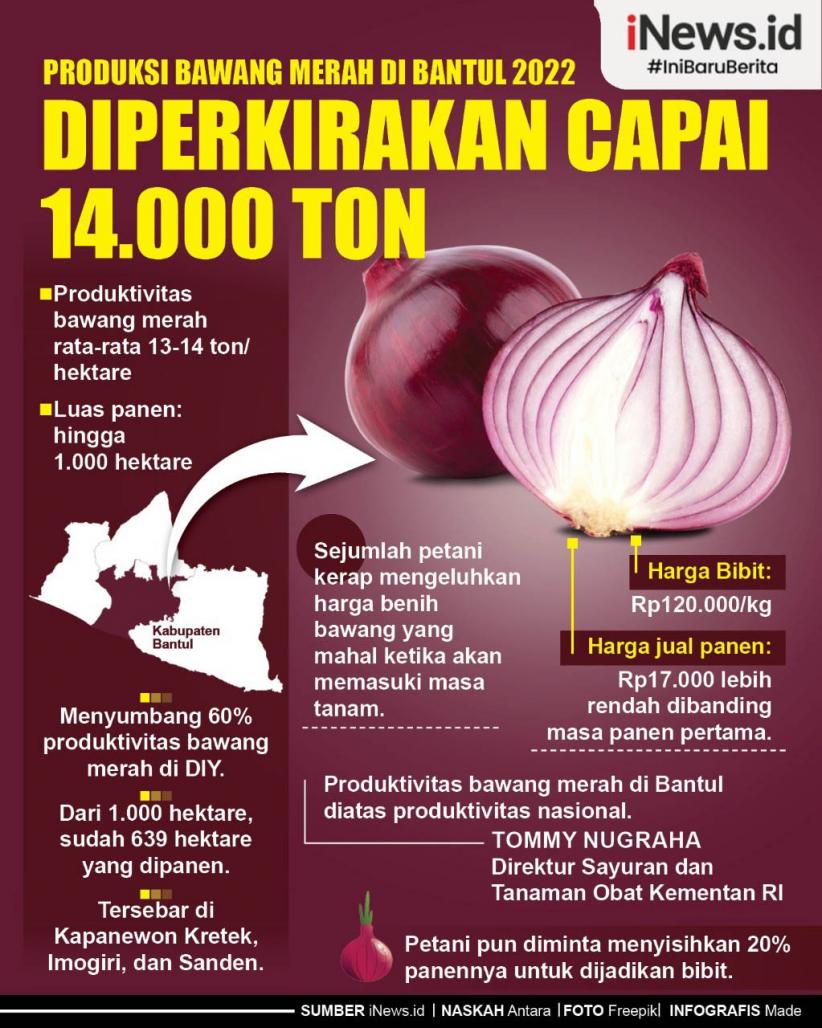 Infografis Panen Bawang Merah di Bantul 2022 Capai 14.000 Ton