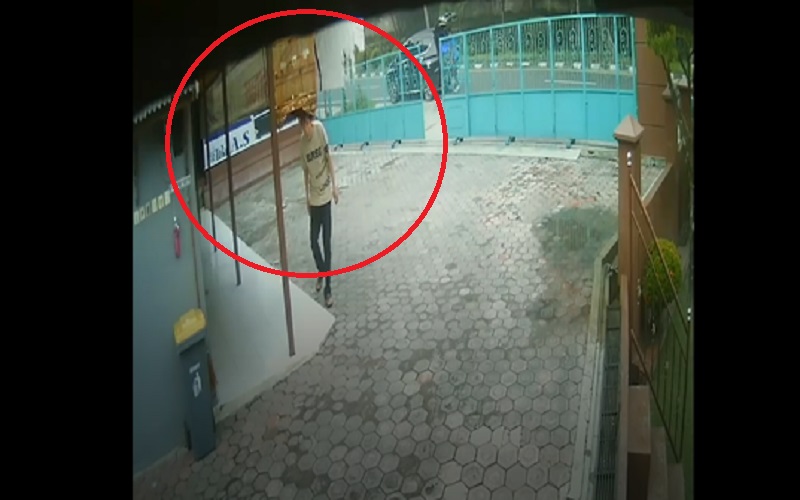 Kronologi Pengendara Xpander di Kobar Curi Burung Murai Langganan Juara