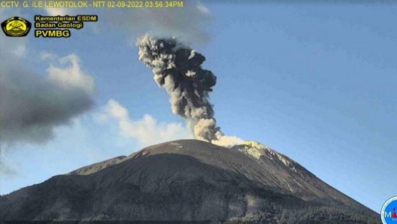 Gunung Api Ile Lewotolok Erupsi, Semburkan Kolom Abu 1.500 Meter Disertai Suara Gemuruh