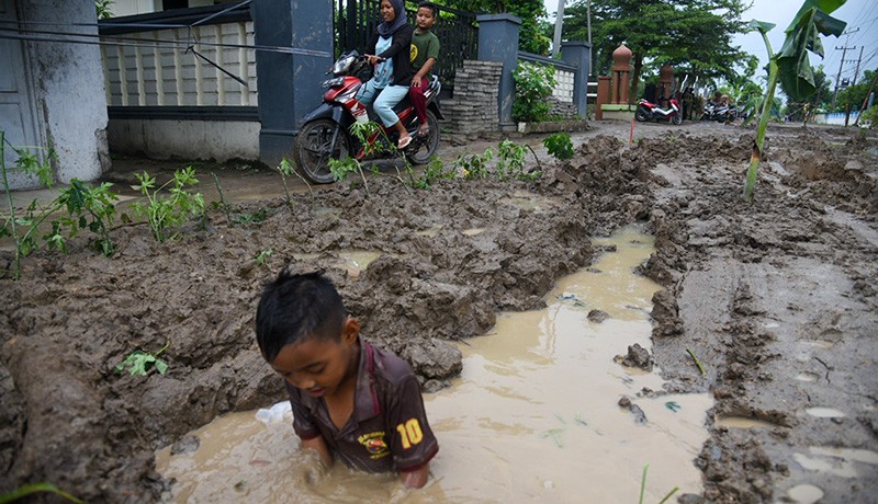Warga Deli Serdang Tanam Pohon Pisang di Tengah Jalan Rusak - Bagian 2