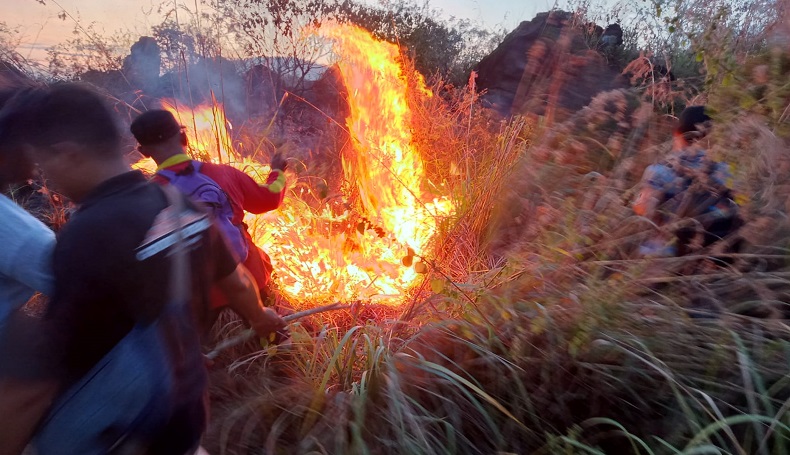 7,25 Ha Lahan Taman Nasional Gunung Ciremai Kuningan Terbakar, Pemicu Diselidiki