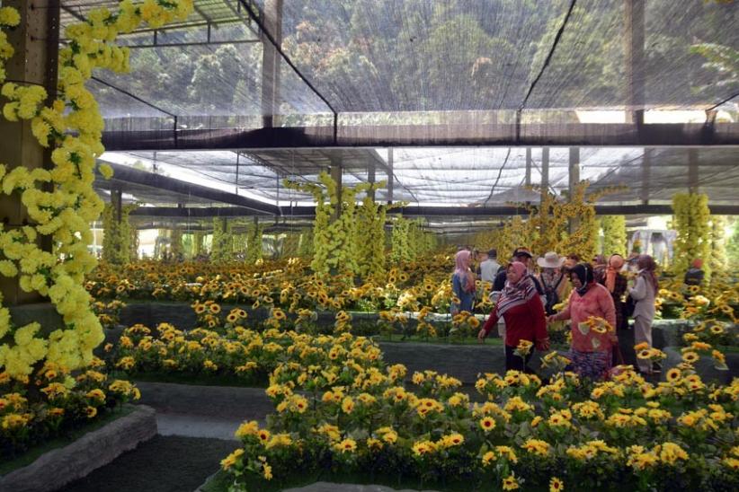 Berwisata ke Bukit Sekipan, Foto-foto Sambil Menikmati Sejuknya Udara Tawangmangu  - Bagian 8