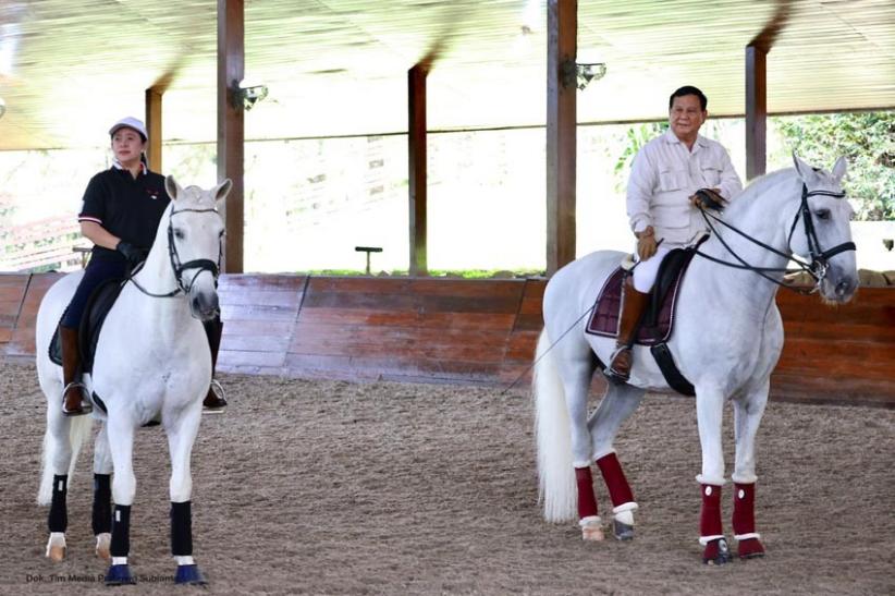 Bertemu di Hambalang, Prabowo dan Puan Sepakat Bangun Komunikasi Politik dengan Terbuka - Bagian 1