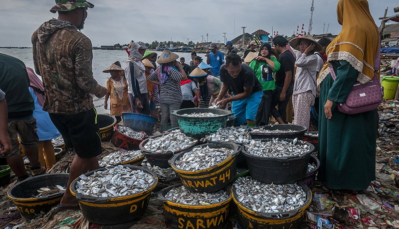 Harga BBM Solar Bersubsidi Naik, Harga Ikan Laut Melonjak - Bagian 2