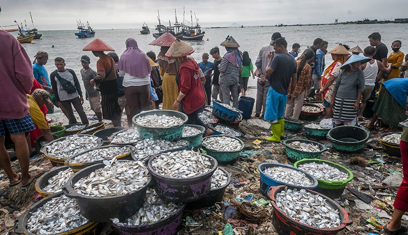 Harga BBM Solar Bersubsidi Naik, Harga Ikan Laut Melonjak - Bagian 1
