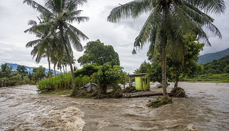 Ratusan Hektare Sawah Tergenang-Jembatan Putus akibat Banjir di Sigi - Bagian 2