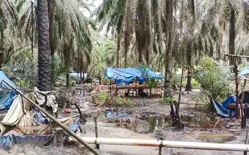 Polisi Gerebek Penambangan Minyak Ilegal di Muarojambi, Ada Puluhan Kolam Penampungan