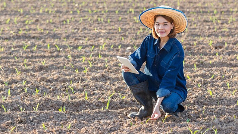  Fenomena Baru, Anak Muda Korsel Ramai-Ramai Pindah ke Desa Jadi Petani 