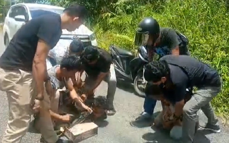 Jadi Kurir Narkoba dengan Upah Rp15 Juta, Pria Ini Ditangkap saat Antar Barang yang Ketiga