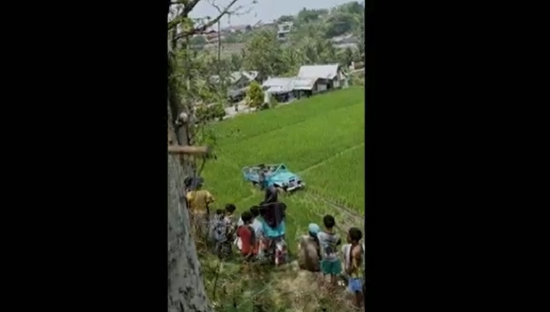 Mobil Wisatawan Air Panas Pacet Terguling ke Sawah 50 Meter, 4 Penumpang Luka  