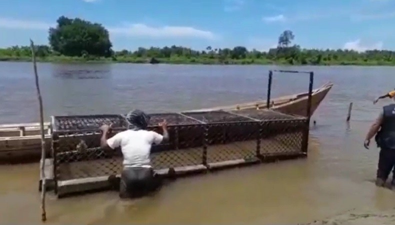 Buaya Serang Manusia di Aceh Singkil, Perangkap Besi Dipasang di Aliran Sungai 