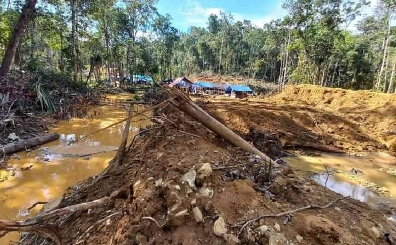 Berkali-kali Diperingatkan, Tambang Emas Ilegal di Distrik Senggi Akhirnya Ditutup