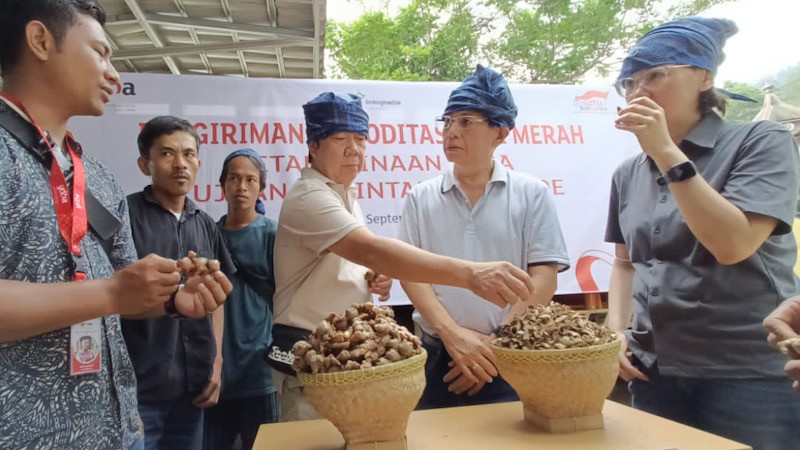 Petani Jahe Merah Lebak Banten Binaan YDBA Hasilkan Panen 32,5 Ton    - Bagian 4