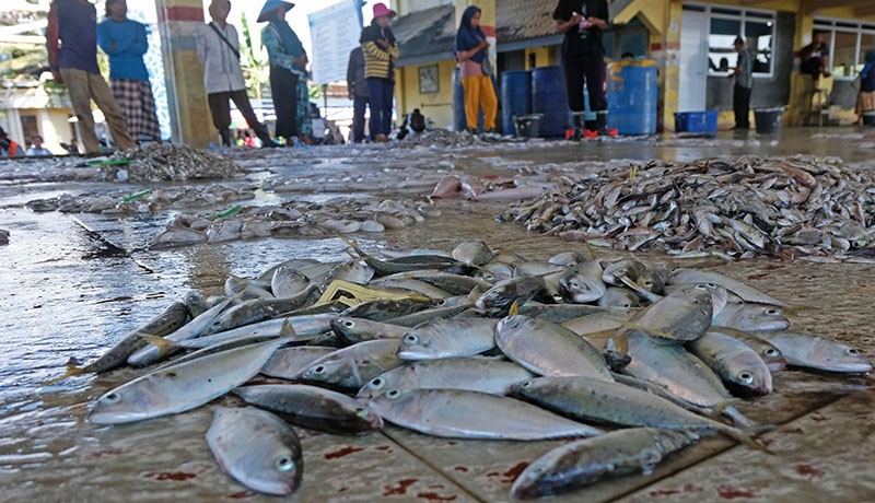 Cuaca Buruk di Laut Jawa, Ikan Hasil Tangkapan Nelayan Turun 50 Persen