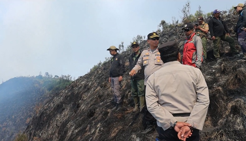 10 Ha Lahan Hutan di Kawasan TNBTS Terbakar, Petugas Kesulitan Padamkan Api 