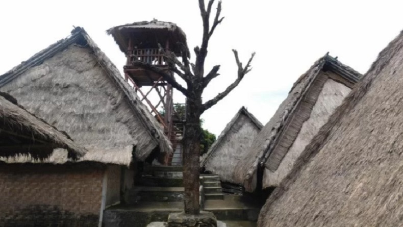 Kisah Pohon Cinta di Lombok, Saksi Pertemuan Sejoli Kasmaran hingga Menikah