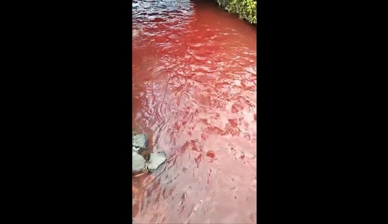 Heboh Air Sungai Mayang Di Jember Berubah Menjadi Merah