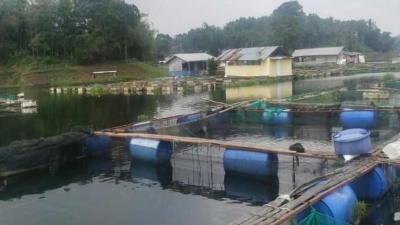 Nelayan Jaring Apung Waduk Saguling KB Menjerit, BBM dan Pakan Naik, Harga Ikan Tetap