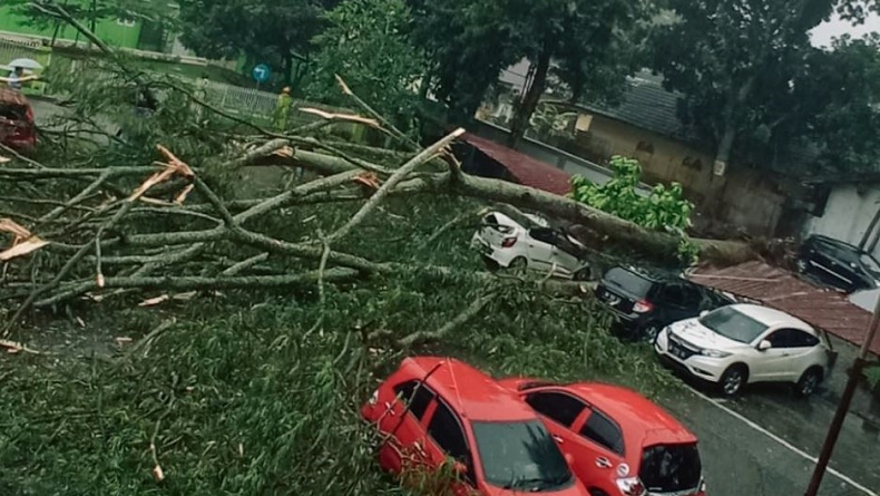 Pohon Tumbang Robohkan Tembok di Areal Parkir RSUP Adam Malik, 4 Mobil Tertimpa