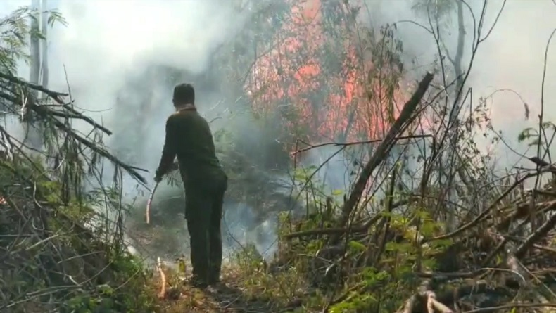 Waduh, Kebakaran Lahan dan Hutan di Gunung Ciremai Meluas