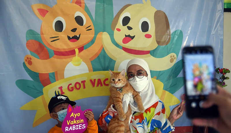 Gaya Kucing Oranye Pakai Kacamata Hitam Disuntik Rabies - Bagian 2