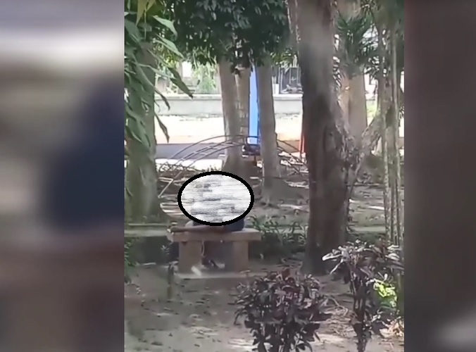 title 2 Pasangan Kekasih Mesum di Taman Firdaus Pinrang, Kasatpol PP: Kami Kecolongan 2 Pasangan Kekasih Mesum di Taman Firdaus Pinrang, Kasatpol PP: Kami Kecolongan