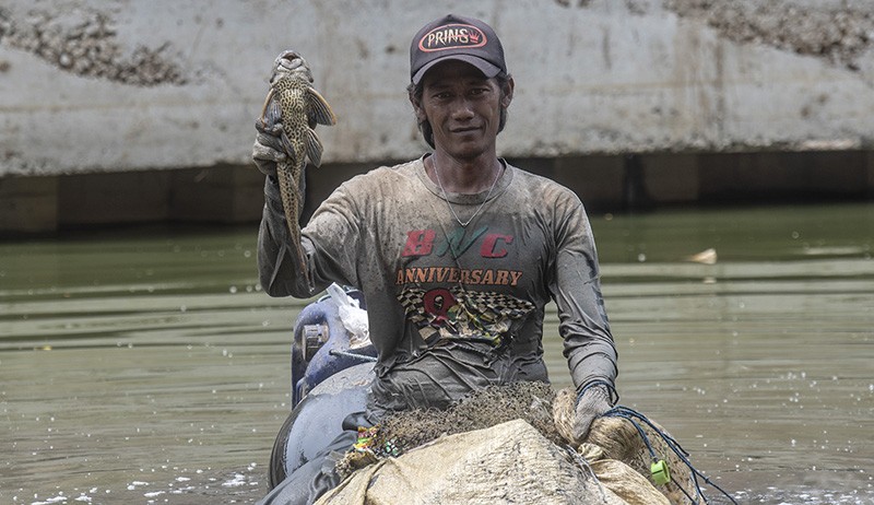 Makan Limbah, Ikan Sapu-Sapu Hidup di Sungai Berbahaya jika Dikonsumsi - Bagian 1
