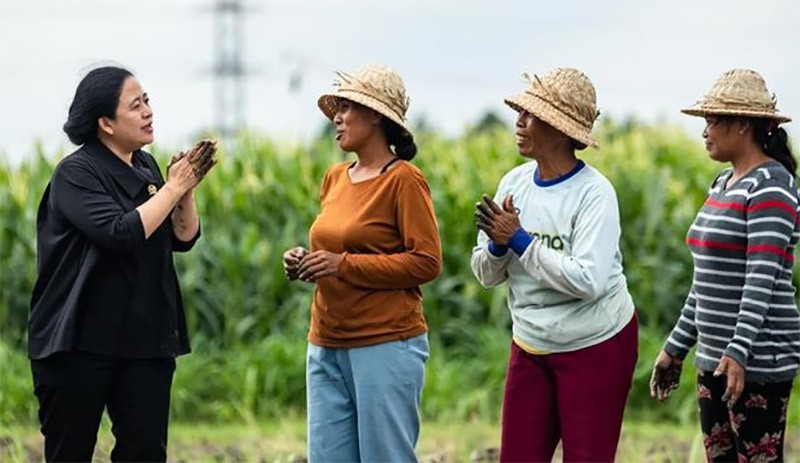 Potret Puan Maharani Tangan Penuh Lumpur usai Masuk Sawah Bareng Petani - Bagian 2