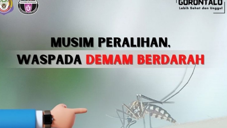 Waspada! Ada 360 Kasus DBD di Gorontalo pada Januari-Juli 2022